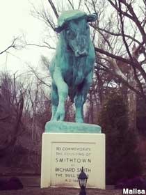 Smithtown Bull.