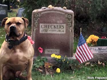 Grave of Checkers.