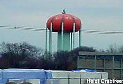 Pumpkin Water Tower.