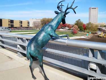 Image result for Deer on a Bridge, Columbus. OH