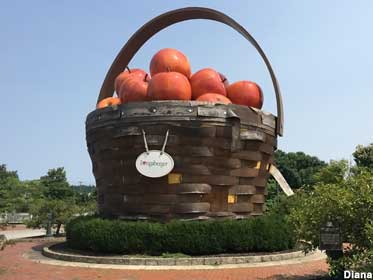 World's Largest Apple Basket.