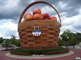 Apple Basket.