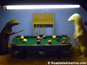 A scene of dead weasels playing pool.