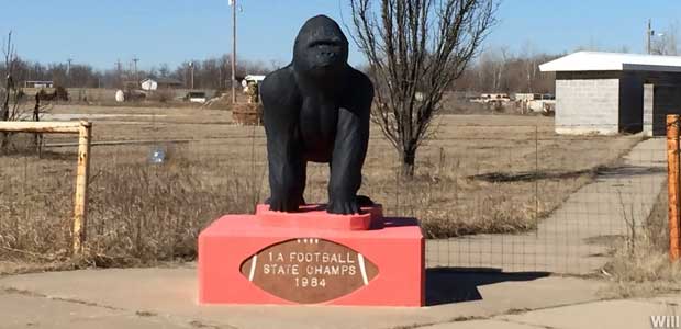 State Champs gorilla.