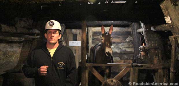 Mule stall on the mine tour.