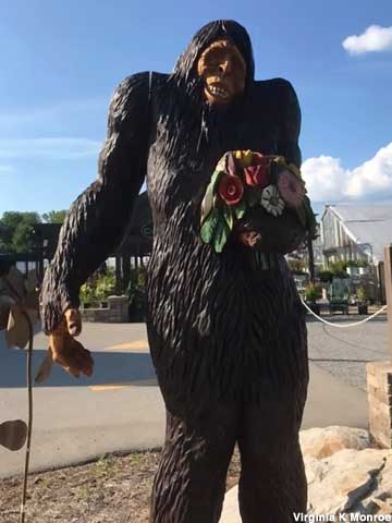 Bigfoot bearing bouquet.
