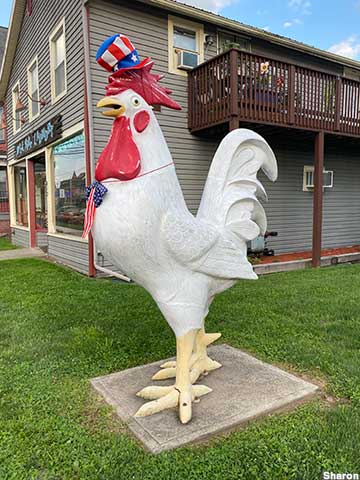 Patriotic rooster.