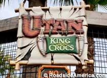 Utan, King of the Crocs at Alligator Adventure.