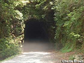 Stumphouse Tunnel.