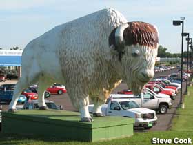 White buffalo statue.