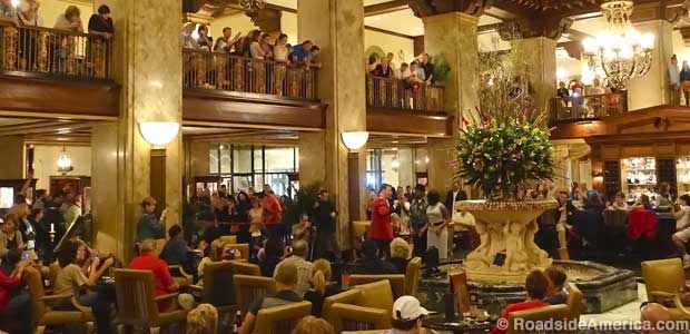 Peabody Duck fans await the evening exit.