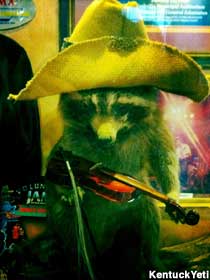 Raccoon with a fiddle.