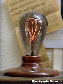 What are the longest-lasting light bulbs?
