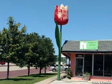Tulip statue.