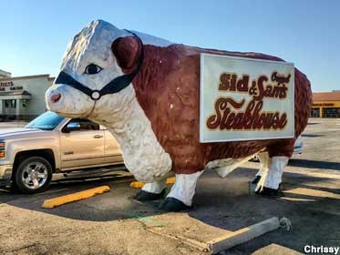 Steakhouse cow.