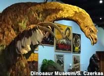 Dinosaur Museum: Art and Feathers