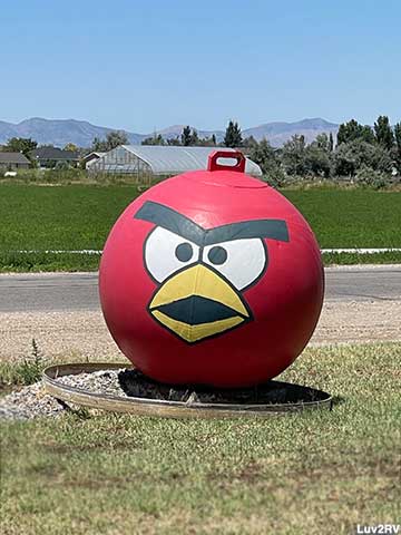 Angry Bird ball.