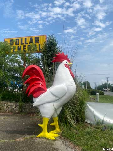 Rooster statue.