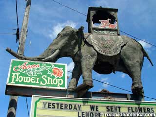 Flower Shop Elephant.