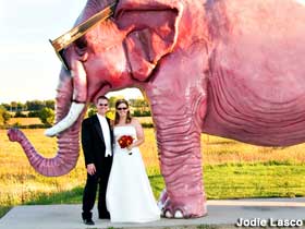 Bride, groom, pink elephant.