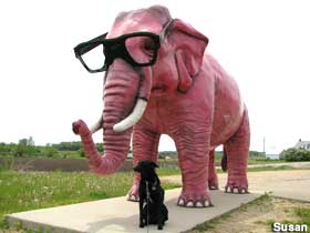 Pink elephant with glasses.