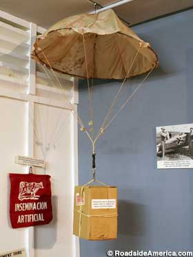 Bull semen parachute package.
