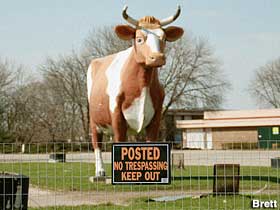 Bessie the Cow.