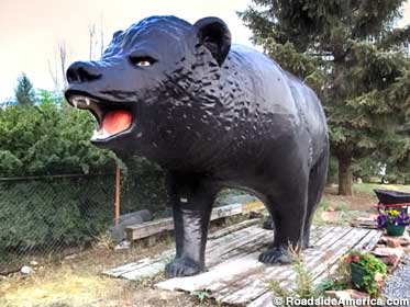 Black bear statue.