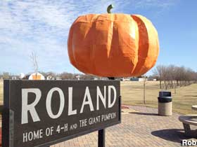 Roland's giant pumpkin.