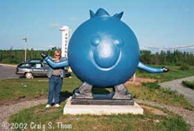 Blueberry mascot statue.