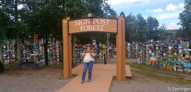 Sign Post Forest.