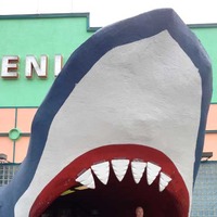 Walk into a Giant Open-Mouthed Shark