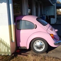 Rear End of Pink Volkswagen