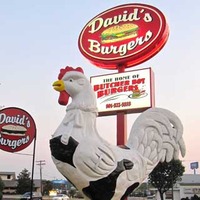 David's Burger Mascot Chicken
