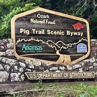 Drive the Pig Trail