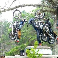 Motorcycle Hanging Tree