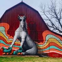 Trippy Horse Barn Mural