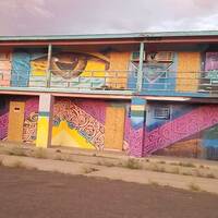The Painted Desert Project