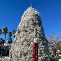 Tumbleweed Christmas Tree