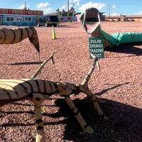 Scorpion vs. Rattlesnake Sculptures