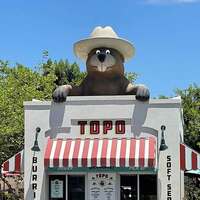 Big Gopher on Roof with Hat
