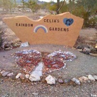 Celia's Rainbow Garden