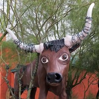 Tucson Toro - Magic Carpet Bull