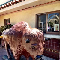 Ice Cream Parlor Bison Statue