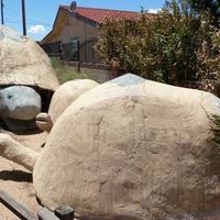 Three Concrete Tortoise Sculptures
