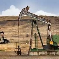 Iron Zoo - Oil Pump Art