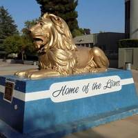 Lion Farm Lion Statue