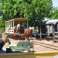 Horse-Drawn Train