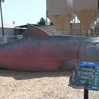 Giant Salmon Statue, Baby Fish