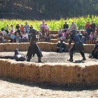 Pumpkin Farm, Labyrinth, Gladiator Battles